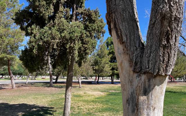 Buscarán a Gobierno Federal para tema de El Chamizal thumbnail