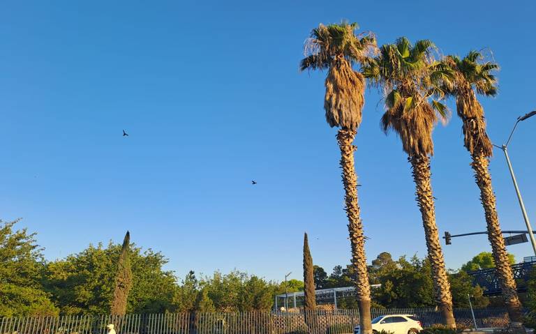 El termómetro alcanzará los 41°C este domingo thumbnail