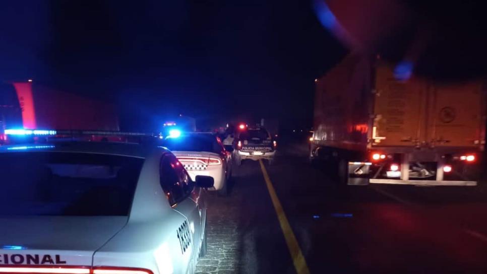 Encuentran restos humanos sobre la carretera México 15 en Guasave thumbnail