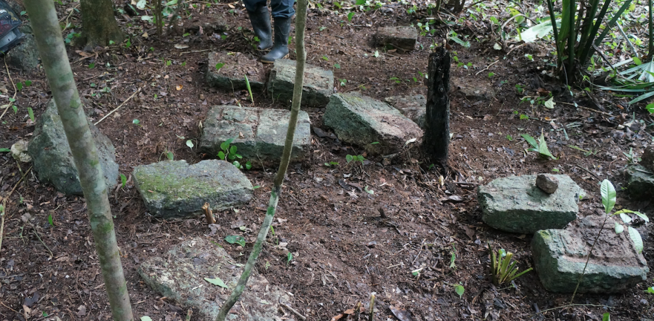 Estudian escalinatas jeroglíficas mayas, fenómeno poco común en su escritura thumbnail