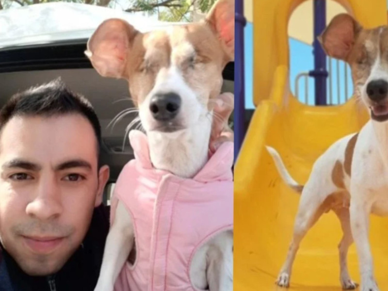 Hombre rescata a perrito sin ojos que fue abandonado, historia se hace viral thumbnail