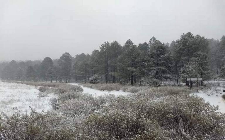 ¡La Sierra se pinta de blanco! Guachochi reporta caída de nieve thumbnail