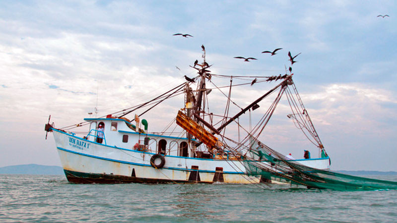 Concluye veda de langosta en el océano Pacífico thumbnail