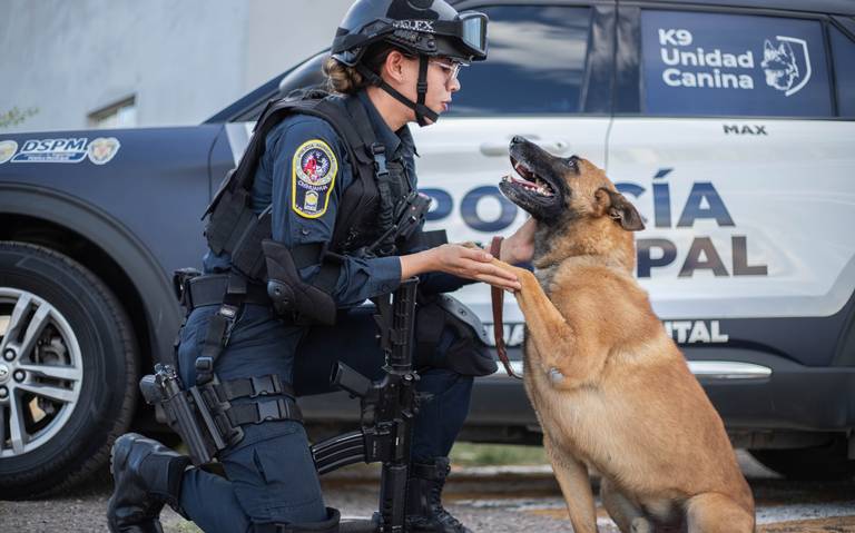 Adquirirán siete agentes caninos para el Grupo K9 de la Policía Municipal thumbnail