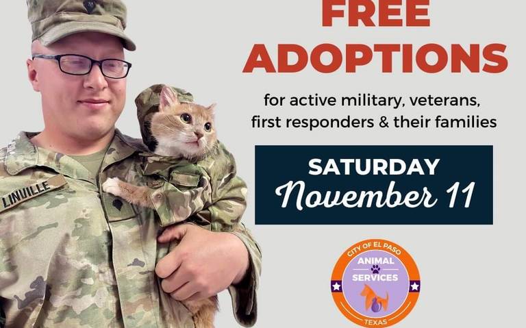 Invitan a veteranos de El Paso a adoptar mascotas que están a la espera de un hogar thumbnail