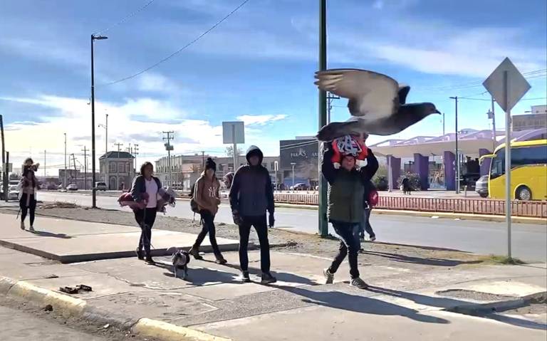 Llegan grupos de migrantes llegan a la Zona Centro thumbnail