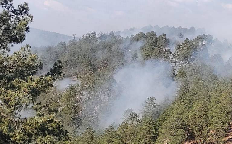 incendio forestal thumbnail