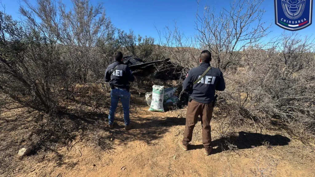 1000538176 thumbnail