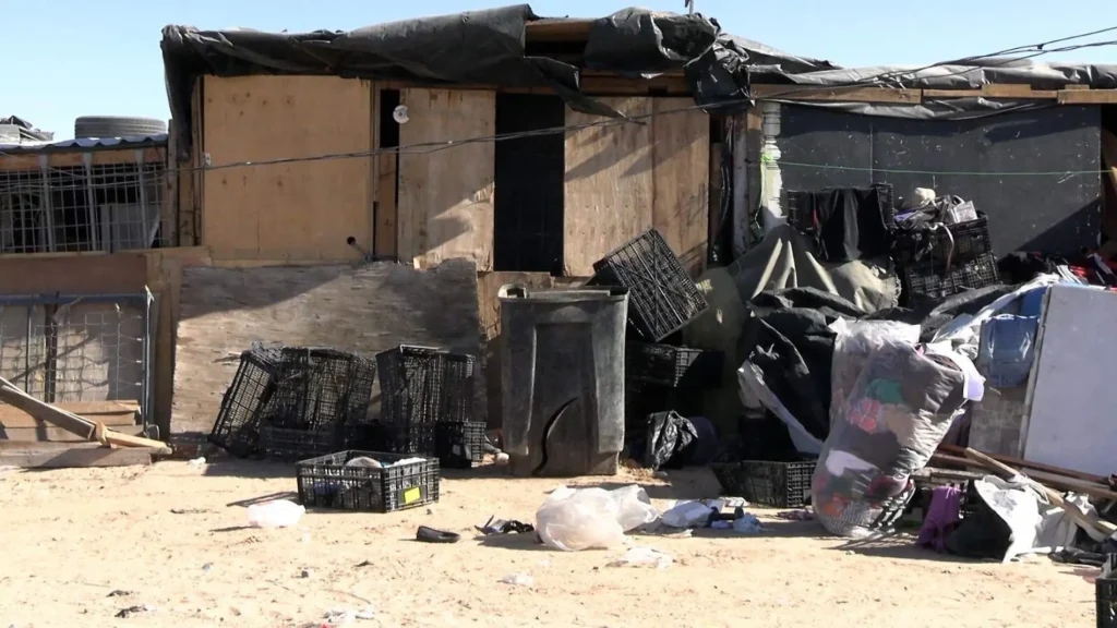 IMG-20241219-WA0095 thumbnail