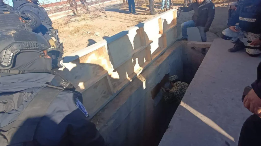 1000558433 thumbnail