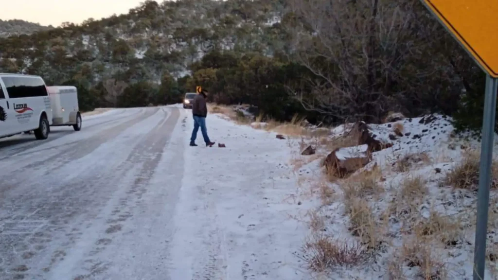 WhatsApp Image 2024-11-18 at 9.03.15 AM (1) thumbnail