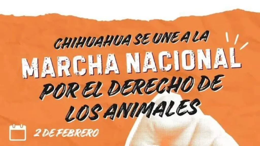 WhatsApp Image 2025-01-30 at 9.21.29 PM thumbnail