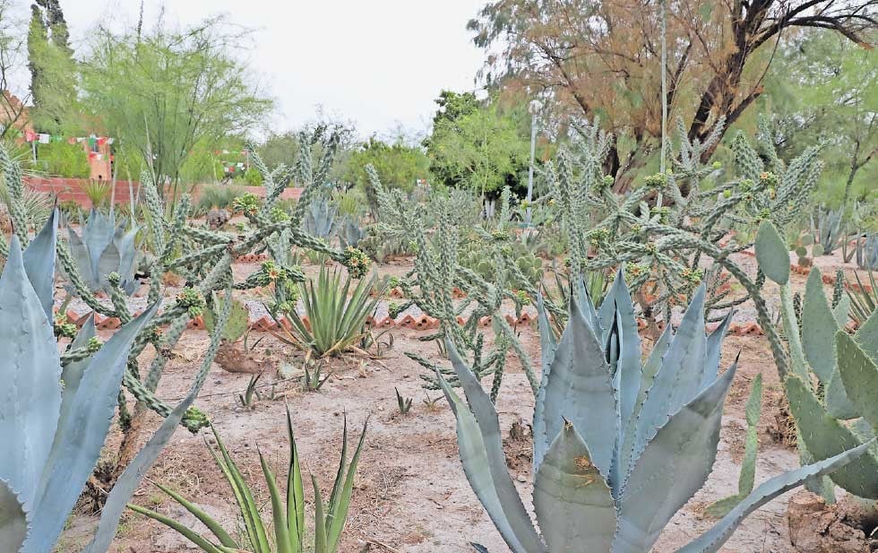 central-v3CgYxrvs thumbnail