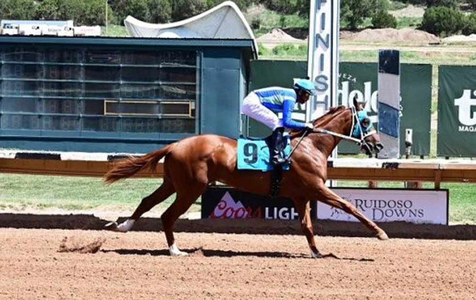 web-caballos-2MWowJiHz thumbnail