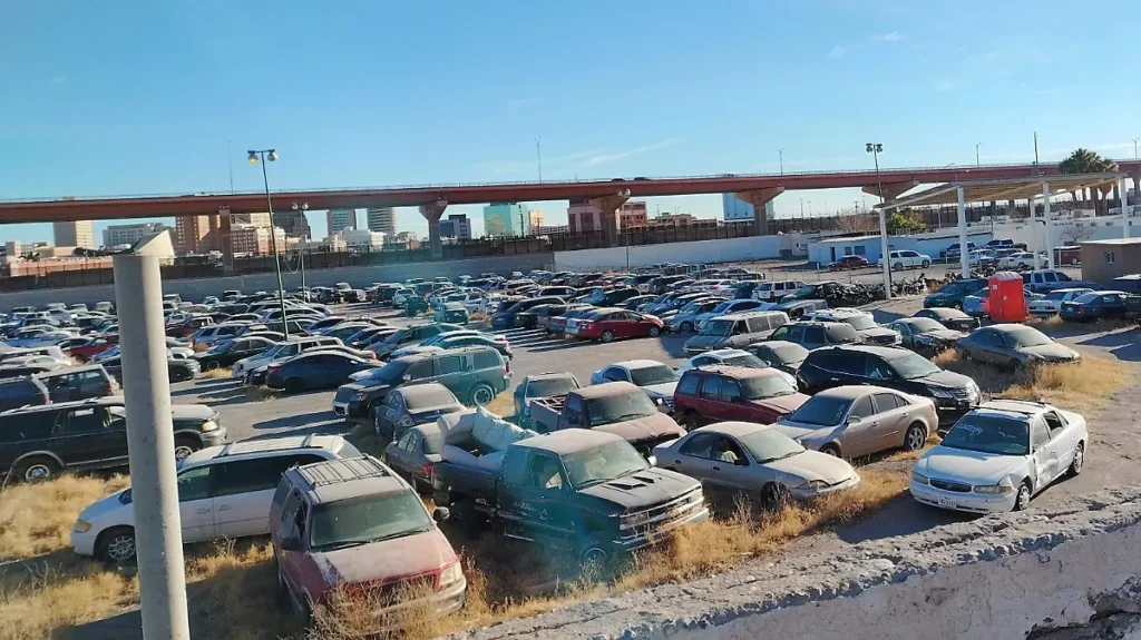 1000135538 thumbnail