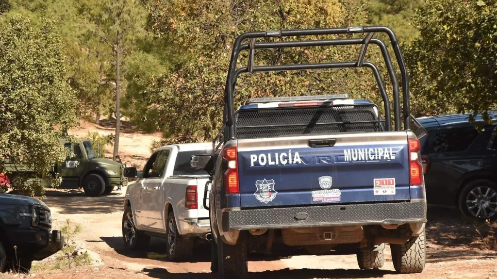 1000520268 thumbnail