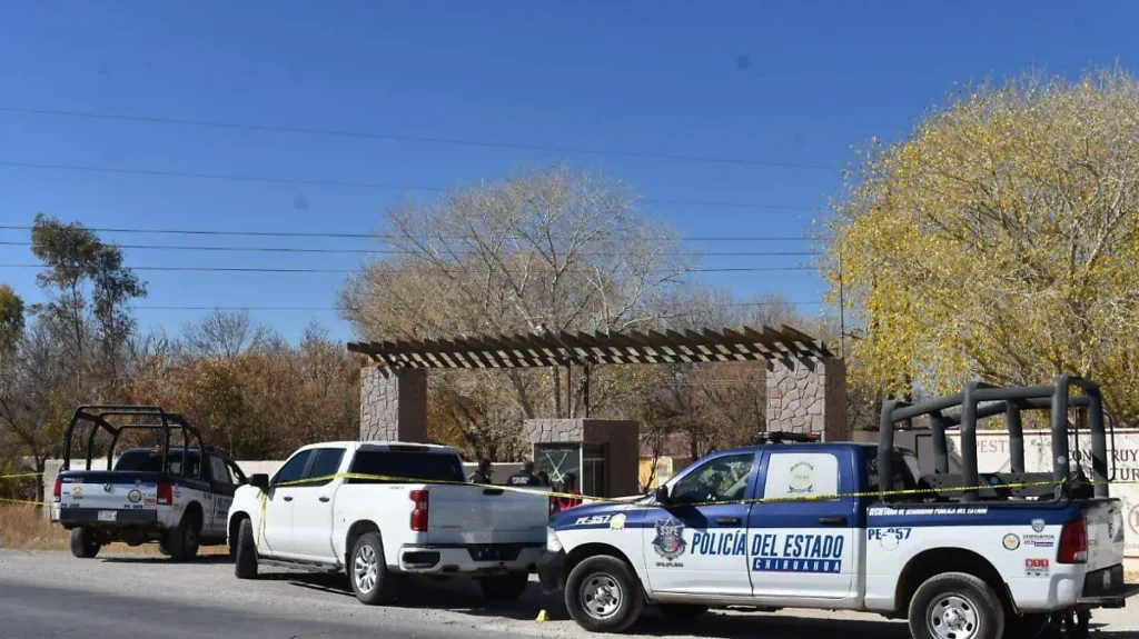 WhatsApp Image 2024-12-28 at 12.30.20 PM (1) thumbnail