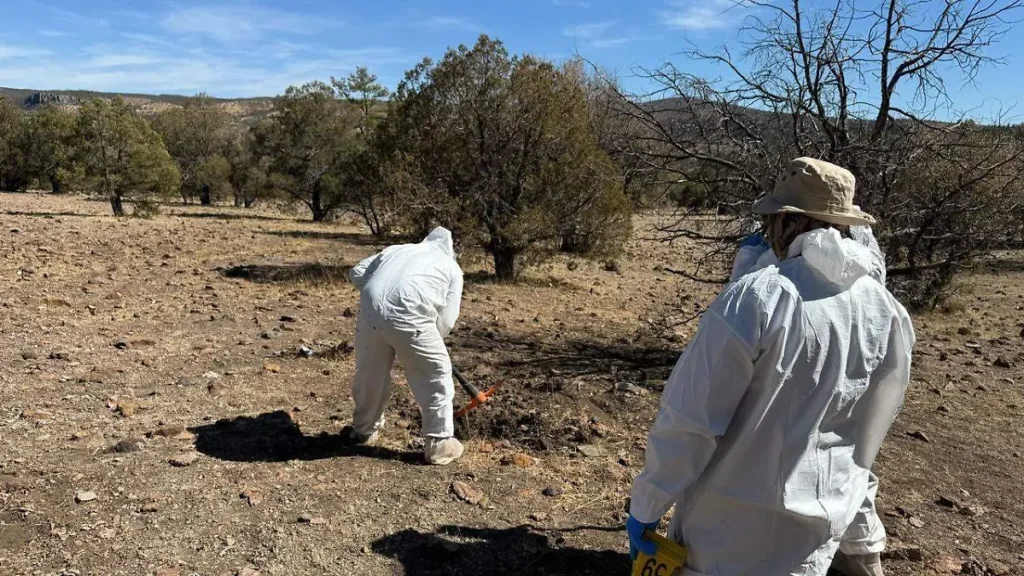 1000632441 thumbnail