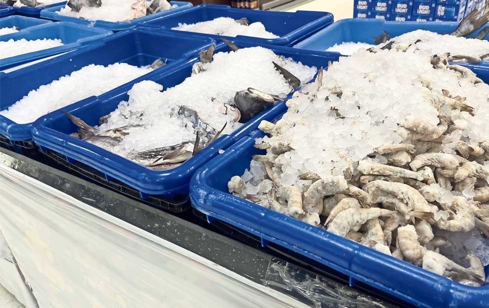 20230222010137724-0-2027077-a5udb1jvn-GCqAH5aG0 thumbnail