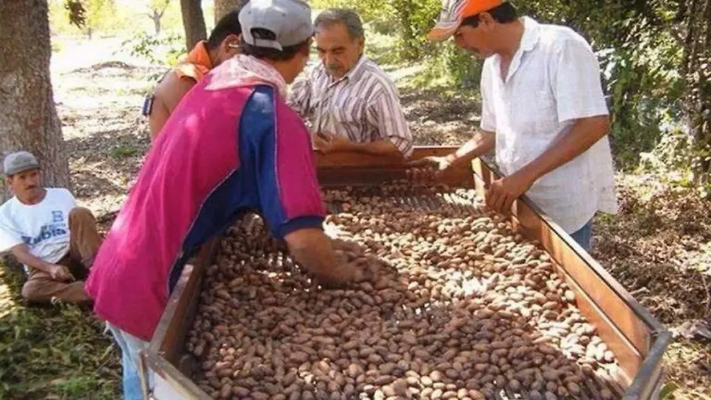 24075a5c-211b-4716-afb2-43f93b71e122 thumbnail