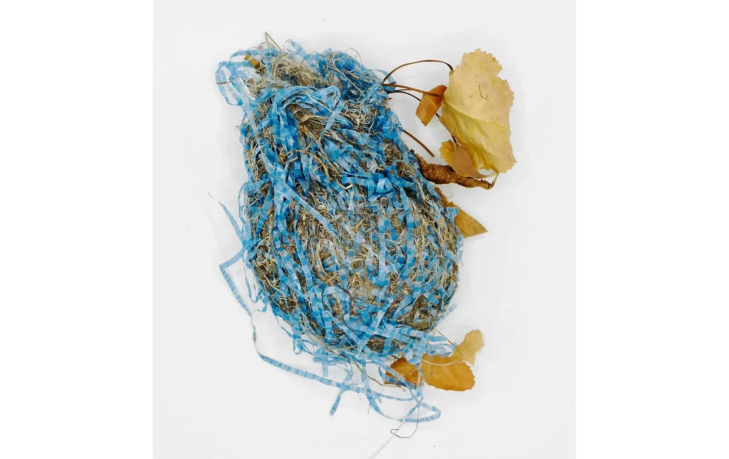 nidos-hkq23SnBW thumbnail