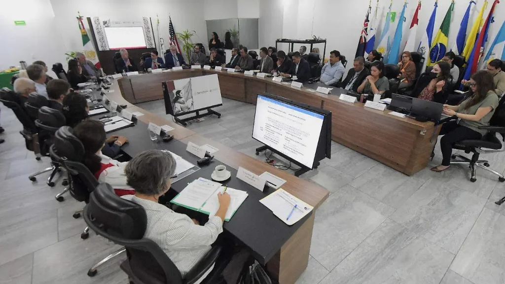 image (11) thumbnail