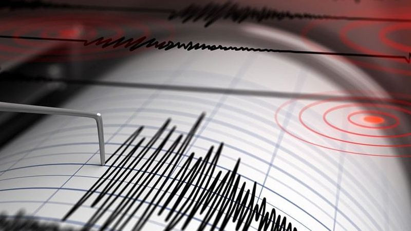 La Ola de Dolor y Ayuda: Un Sismo Sin Precedentes Genera Más de Mil Réplicas Humanitarias en San Marcos, Guerrero
