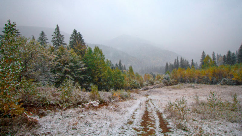 Nieve y frialdad regresan al país: Heladas y posibles precipitaciones inesperadas marcarán el fin de año en algunas zonas