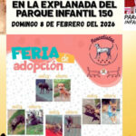 Rescatistas independientes convocan a feria de adopción este domingo en Morelia